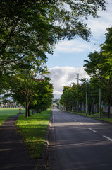 Obraz premium 公園と道