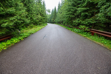 empty gravel road in autumn