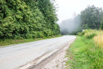 empty asphalt road in autumn