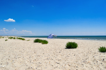 Fototapeta na wymiar Clean, sandy beach against the blue sea. Landscape on a wild beach. The sea in the summer.