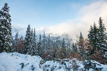 snow covered tourist trails in slovakia tatra mountains