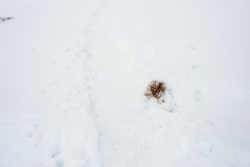 snow covered tourist trails in slovakia tatra mountains