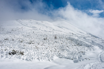 snow covered tourist trails in slovakia tatra mountains © Martins Vanags