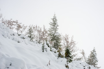 snow covered tourist trails in slovakia tatra mountains