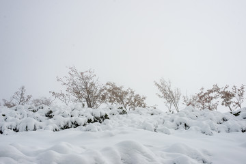 snow covered tourist trails in slovakia tatra mountains