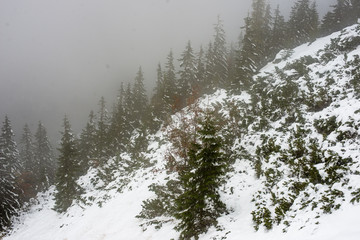 snow covered tourist trails in slovakia tatra mountains © Martins Vanags