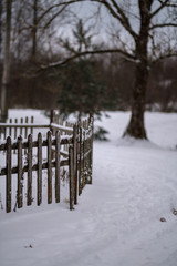 old wooden fence in countryside park