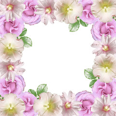 Beautiful floral background of lilac roses and mallow. Isolated