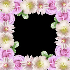 Fototapeta na wymiar Beautiful floral background of lilac roses and mallow. Isolated