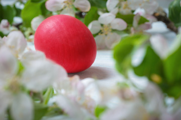 Red decorative Easter egg with apple tree branches on wooden background.