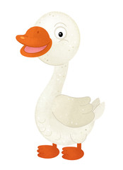 cartoon scene with goose on white background - illustration for children