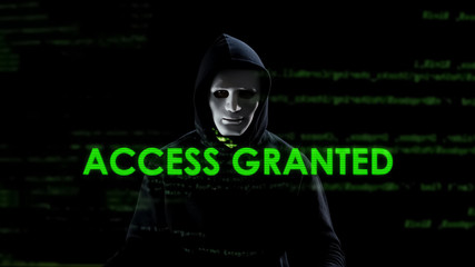 Access granted text on screen, professional hacker copying secret information