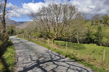 Fototapeta na wymiar Countryside Road in Kerry, Ireland