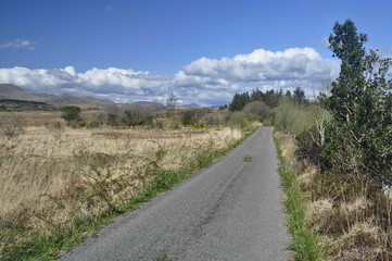 Countryside Road in Kerry, Ireland