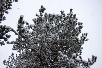 Rocky Mountain National Park 03/2019