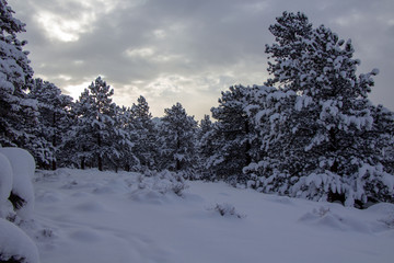 Rocky Mountain National Park 03/2019