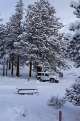 Rocky Mountain National Park 03/2019