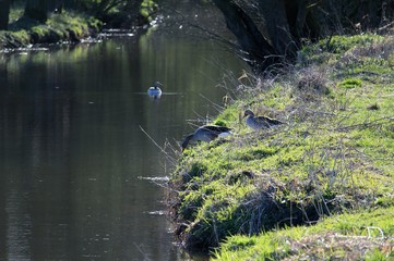 Der Gang zum Fluss