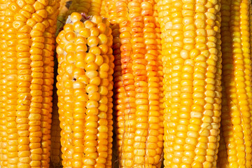 pile of corn cobs in the market