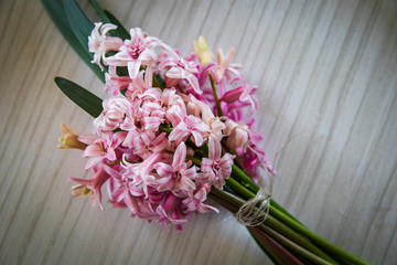 Bouquet of pink hyacinth flower 