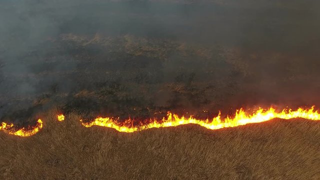 Aerial shot of burning cane and reed marshes in the Dnipro river basin in spring 