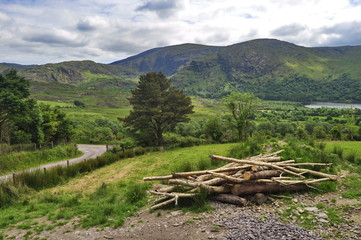 Landscape in Kerry, Ireland