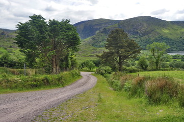 Countryside Road in Ireland