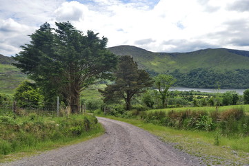 Fototapeta na wymiar Countryside Road in Ireland