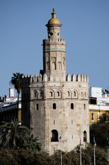 Fototapeta na wymiar A view of the Torre del Oro, Seville