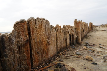 Wooden piles in a salt lake Kuyalnik estuary. Kuyalnik estuary landscape. Kuyalnik liman salt lake in Odessa region of Ukraine.