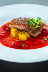 duck breast roasting, vegetables, berry sauce and microgreen (main dish). food background. top view