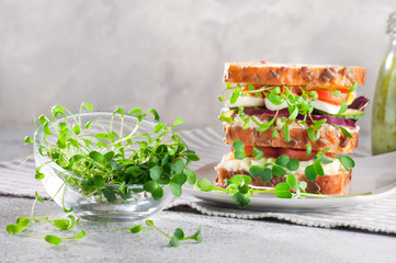 Microgreens sprouts of radish and cress in glass bowl near homemade sandwich
