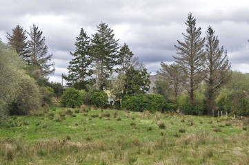 Countryside Landscape in Ireland