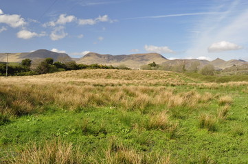 Obraz premium Countryside Landscape in Ireland