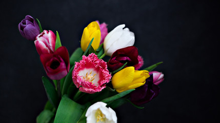 tulip bouquet dark background Valentine's Day birthday women's Day concept