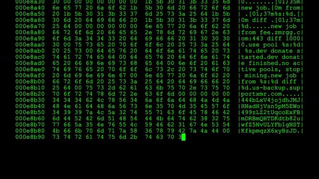 Cryptominer Hex Dump.