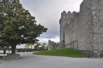 Fototapeta na wymiar Ross Castle in Kerry, Ireland