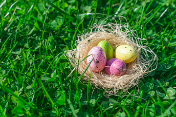 View of a straw nest with colorful easter eggs decorations on fresh natural grass outdoor illuminated with the morning sunlight. Happy Easter background