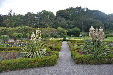 Obraz premium Gardens in Killarney National Park, Irelan