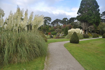 Gardens in Killarney National Park, Irelan