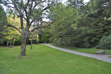 Obraz premium Gardens in Killarney National Park, Irelan