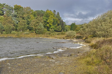 Obraz premium Lake in Killarney National Park, Ireland