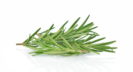 Rosemary isolated on white background