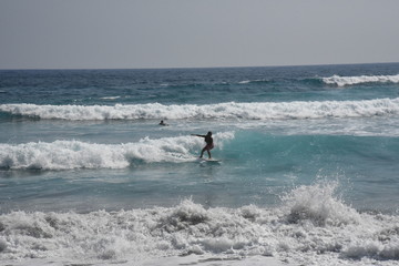surfing in maui