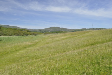 Ring of Kerry Landscape, Ireland