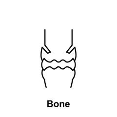 Bone, organ icon. Element of human organ icon. Thin line icon for website design and development, app development. Premium icon