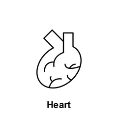 Heart, organ icon. Element of human organ icon. Thin line icon for website design and development, app development. Premium icon