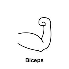 Biceps, organ icon. Element of human organ icon. Thin line icon for website design and development, app development. Premium icon