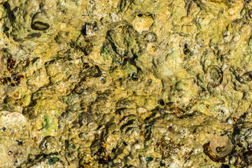 Part of the rocky stones for the whole frame
