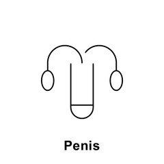 Penis, organ icon. Element of human organ icon. Thin line icon for website design and development, app development. Premium icon